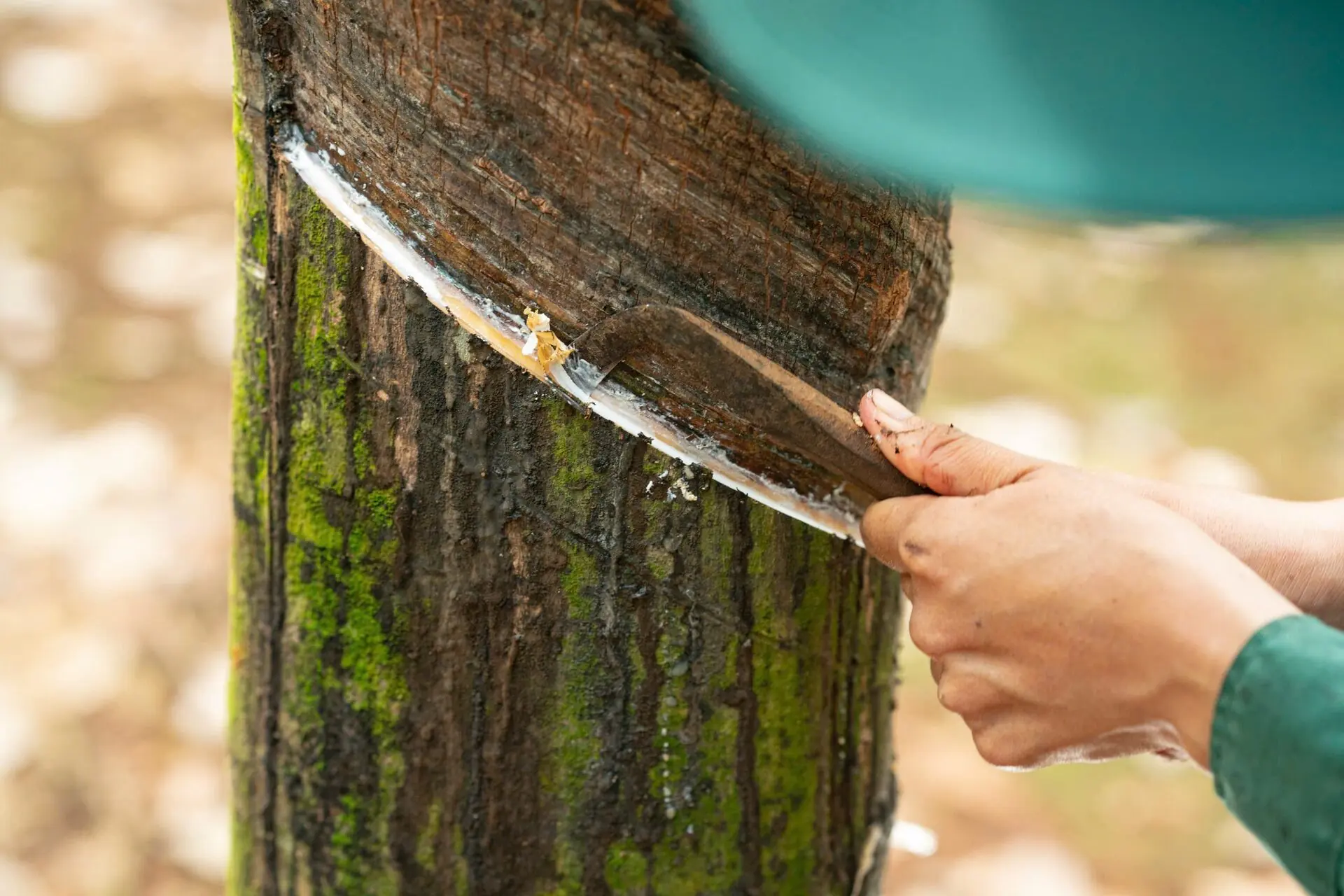 Ảnh giới thiệu 01
